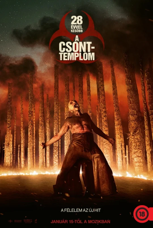 movie image